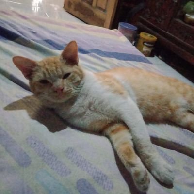 Ferdi_R9's profile picture. 