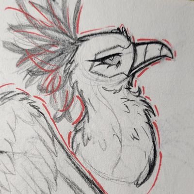 Evacさんのプロフィール画像