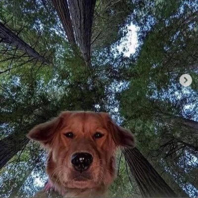 Ocean86200960's profile picture. Beautiful ruins