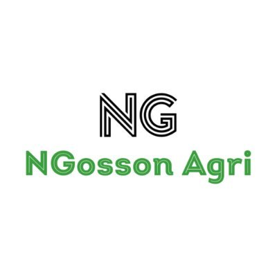 NGosson Profile Picture