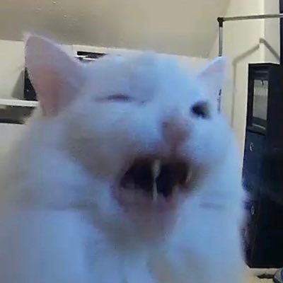 Komrat_kot's profile picture. 