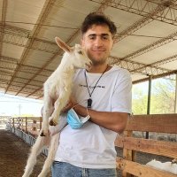 Alvaro (@varom993) 's Twitter Profile