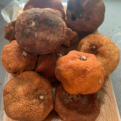 avOFBFTIJoMbkr7's profile picture. 