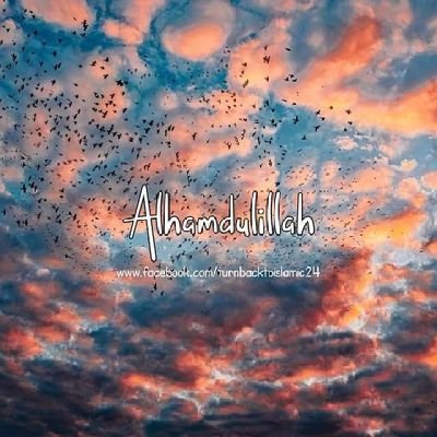 useni_shuwa's profile picture. Am a Muslim first!|
Gooner | Football enthusiast