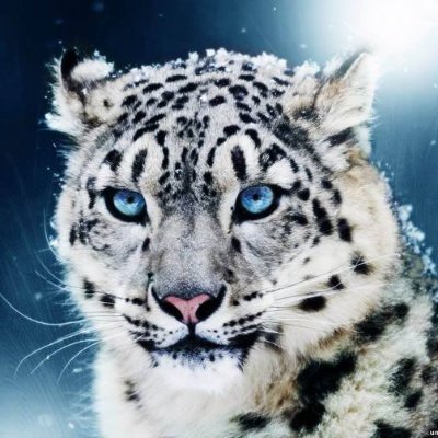 Irb1sさんのプロフィール画像