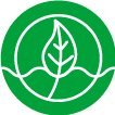 Während einer Weiterbildung als Leserattenprofil gegründet, wird es nun ein Privataccount für mein Wiederbewaldungsprojekt Reforest The World :)
