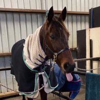 Leigh GrahaⓂ️ (@leighgraham007) 's Twitter Profile Photo