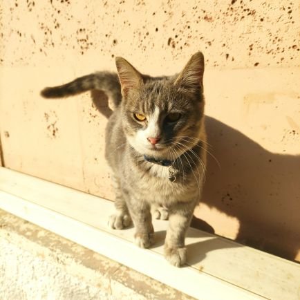 kryunlu1923's profile picture. 