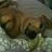 bcmaggie's profile image