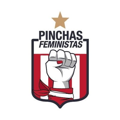 Somos un movimiento autoconvocado, horizontal, independiente y autogestivo de mujeres y disidencias hinchas del Club Estudiantes de La Plata 🇦🇹