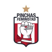 Pinchas Feministas 🇦🇹(@pinchasfeminis1) 's Twitter Profile Photo