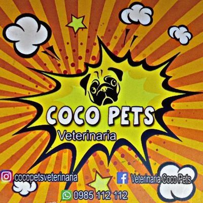 vetcocopets's profile picture. Los paseos con la perra Prince 😍😍😍