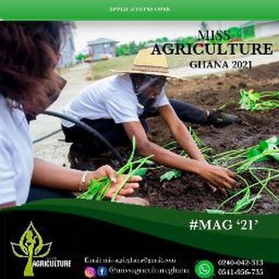 appiah_silas3's profile picture. 