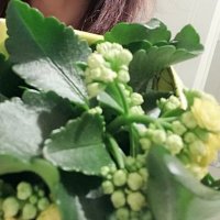 Silvia ❣️🌟✍️🌺 (@silvia32467204) 's Twitter Profile