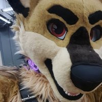 BadJackal™ (@jackal_ad) 's Twitter Profile Photo BadJackal™ (@jackal_ad) 's Twitter Profile Photo