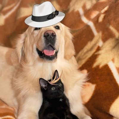 Uminoさんのプロフィール画像
