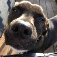 Movies and Lovers (@juicyplanet) 's Twitter Profile