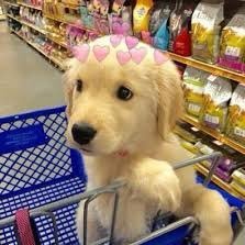 fuckpew_'s profile picture. 