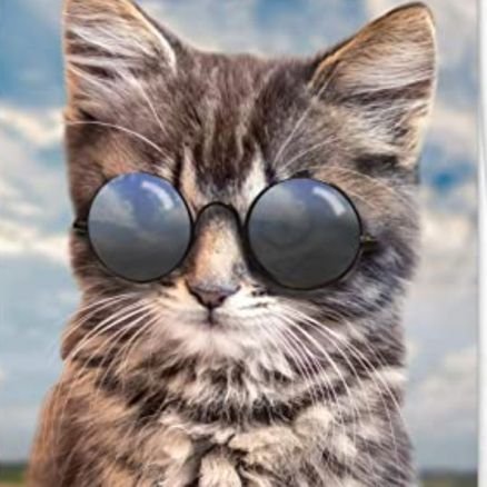 XRPmeneer's profile picture. Osint, nethunter, kali