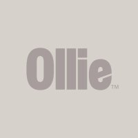 Ollie (@olliepets) 's Twitter Profile Photo Ollie (@olliepets) 's Twitter Profile Photo