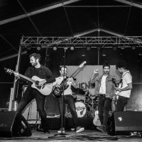 Valiente Bosque (@valientebosque) 's Twitter Profile
