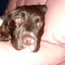 martin crump - @martin_crump - Twitter