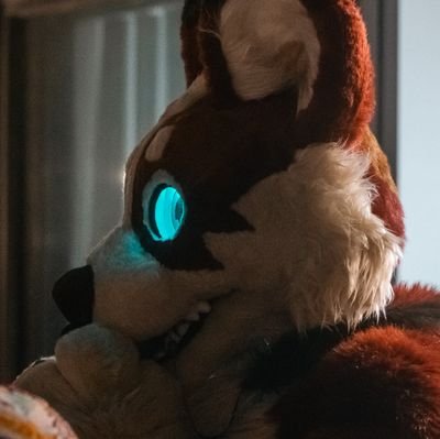 Chaos Corgi 😈さんのプロフィール画像