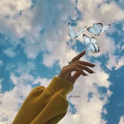 HanaElfar3's profile picture. Don't give up