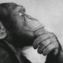 InflationMonkey's profile picture. 