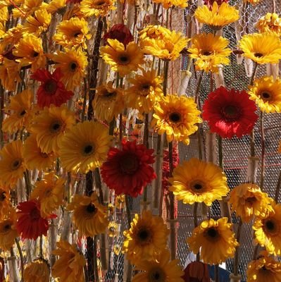 Argentina de origen catalán de vuelta a la tierra de sus ancestros