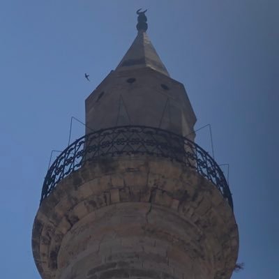 ButtyRobutt's profile picture. 