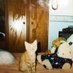 little animals that are very small (@twanimalitos) Twitter profile photo little animals that are very small (@twanimalitos) Twitter profile photo