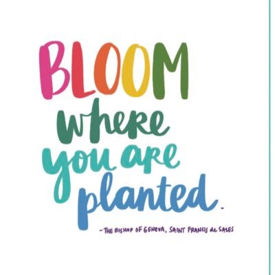 quentin2h's profile picture. 