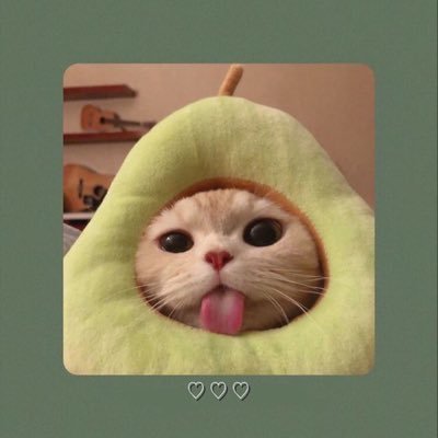 nlak24's profile picture. 