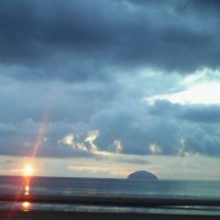 Liz Wilson (@aphidcatcher) 's Twitter Profile