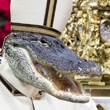 Like Gators Daily, but not cringe.
 
When God sings with his creation will a GATOR not be part of the choir?