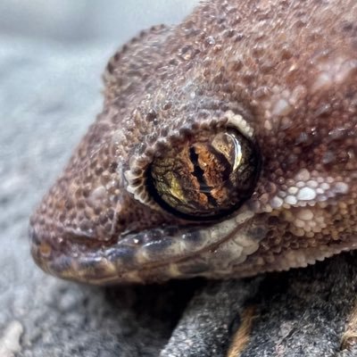 Tetevvvvvvvvv's profile picture. Believe in your dreams and go for it ❣️