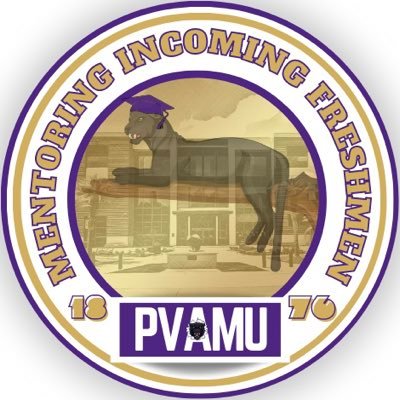 Mentoring & supporting incoming students seeking guidance in their career/education, development of leadership & soft skills, professional etiquette, & etc.