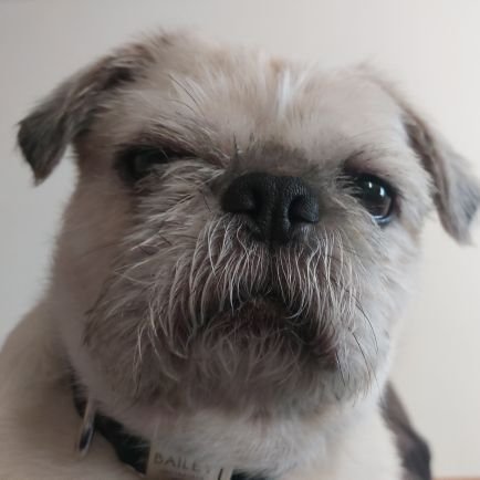 barrybailey431's profile picture. 