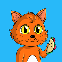 Taco Gatos NFT (@tacogatosnft) 's Twitter Profile Photo Taco Gatos NFT (@tacogatosnft) 's Twitter Profile Photo