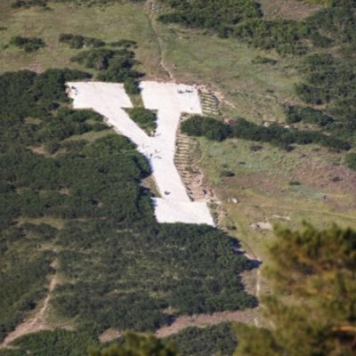 Allblue_12's profile picture. BYU, Cubs, and Jazz.