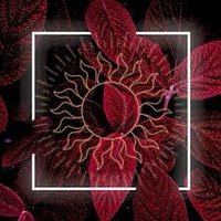 Sunline (@sunline_lofi) 's Twitter Profile
