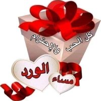 سلطانة اربيل (@mlakalr78888460) Twitter profile photo