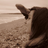 KasiaKurowska's profile image