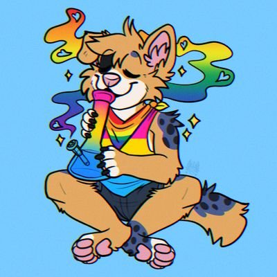 Bebopさんのプロフィール画像