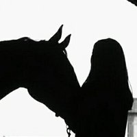 نــور ☪︎ الهـدى (@nooralg7_r) 's Twitter Profile