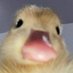 ME (@mariaeyrkglu) Twitter profile photo ME (@mariaeyrkglu) Twitter profile photo