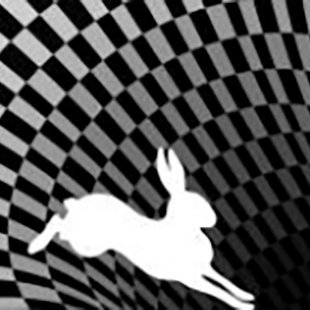 recoverytime11's profile picture. Helping American Businesses recover from closures in the last 2 years.