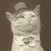 Jeeves Cat (@Jeeves_Cat_) Twitter profile photo