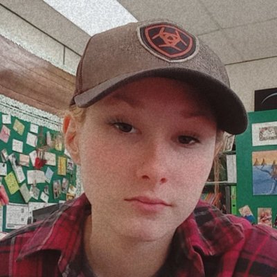 BirdShaydie's profile picture. 